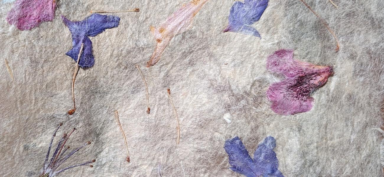 close up of petals, sticks and fibers integrated into natural fiber paper