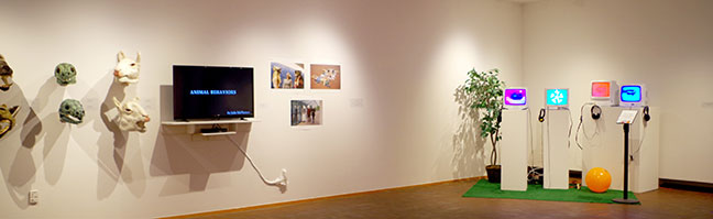wall-mounted scultpures, interactive video installations