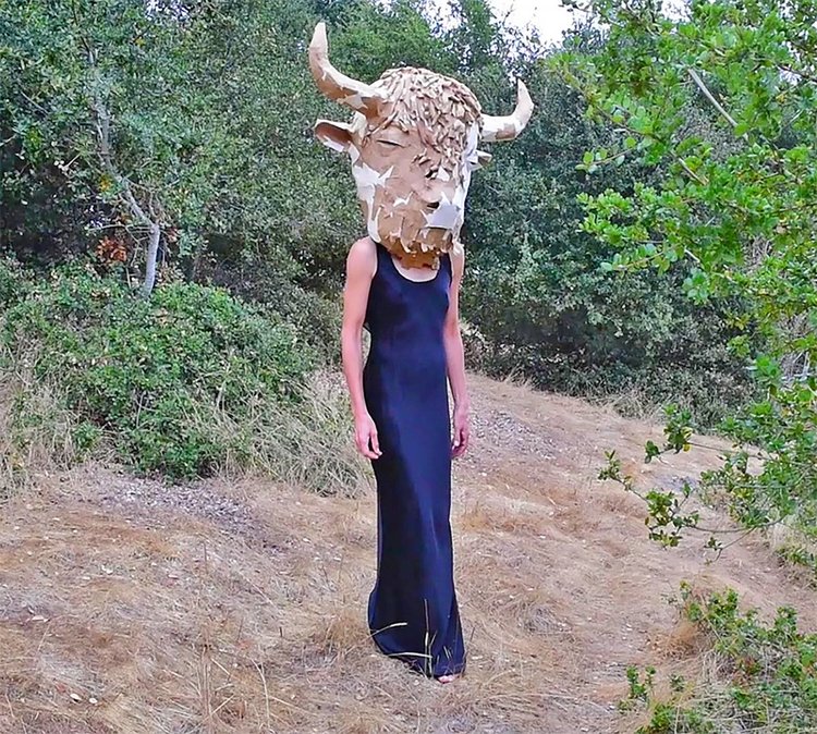 as photograph of a person wearing a large paper mache buffalo mask and a dark blue satin dress on a hillside with trees
