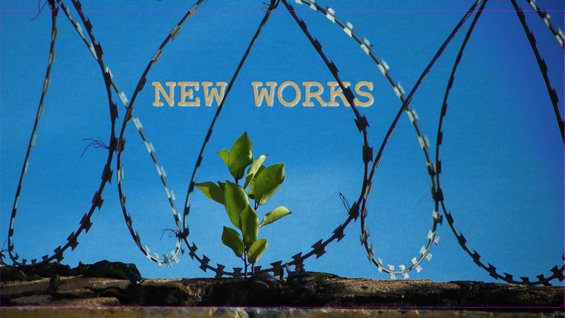 a sapling growing through barbwire, and the title "New Works"
