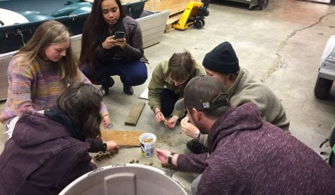 a group of students sitting in a circle on a garage floor, peeling acorns and putting the shells in a plastic container. One student is distracted by their phone.