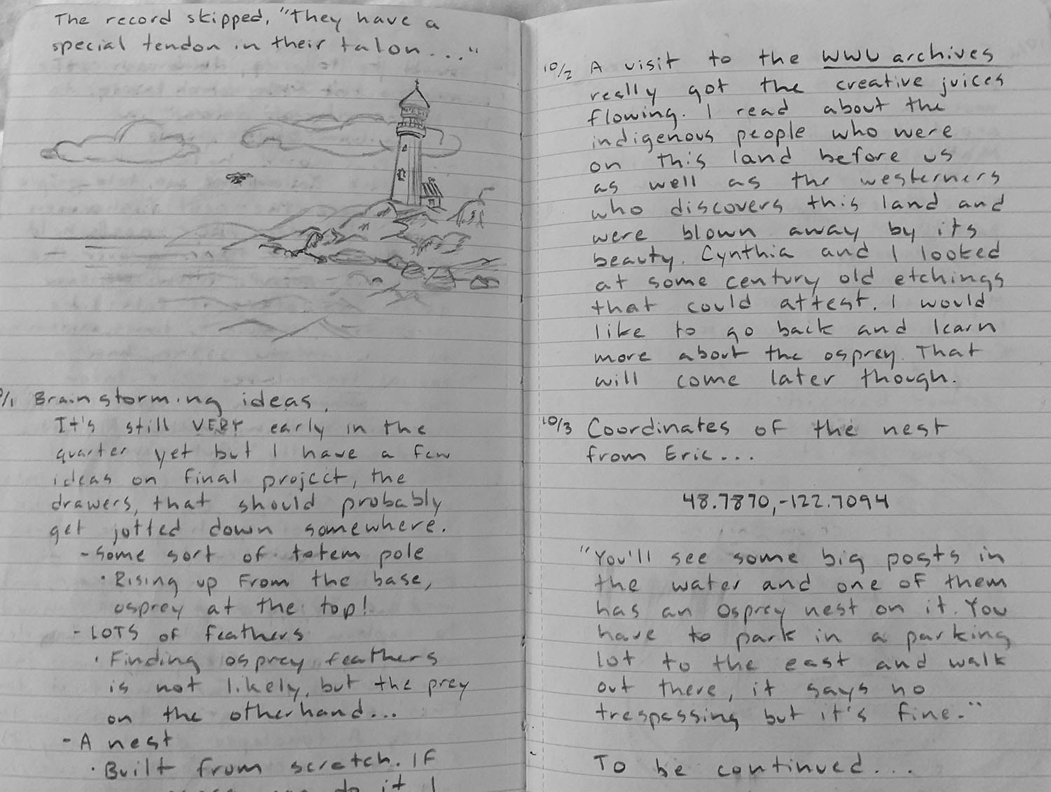 drawing of a lighthouse surrounded by brief journal entries for 3 days of a field trip looking at nests