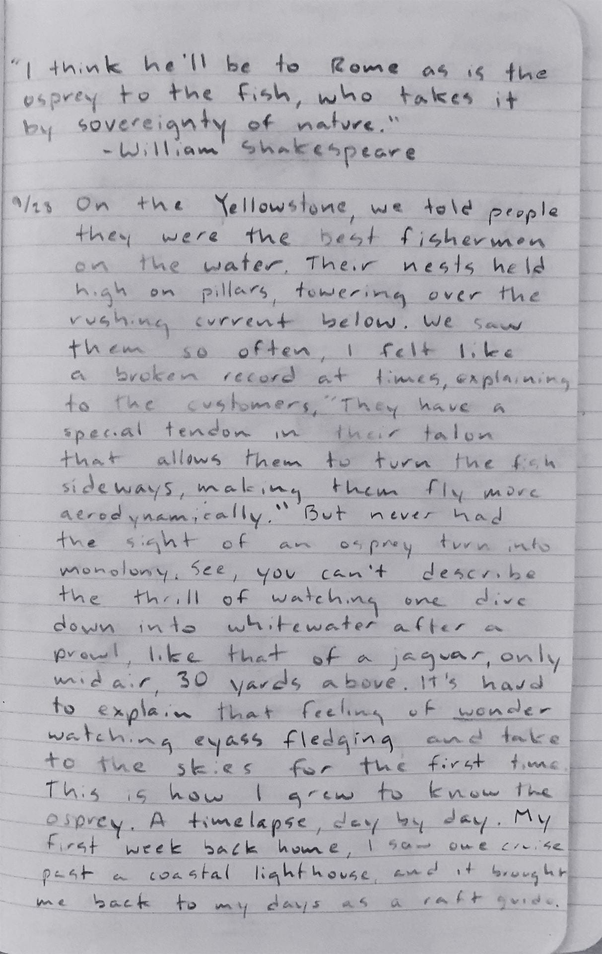 a page of handwritten notes on notepaper telling about a trip to Yellowstone and experiencing awe in seeing osprey