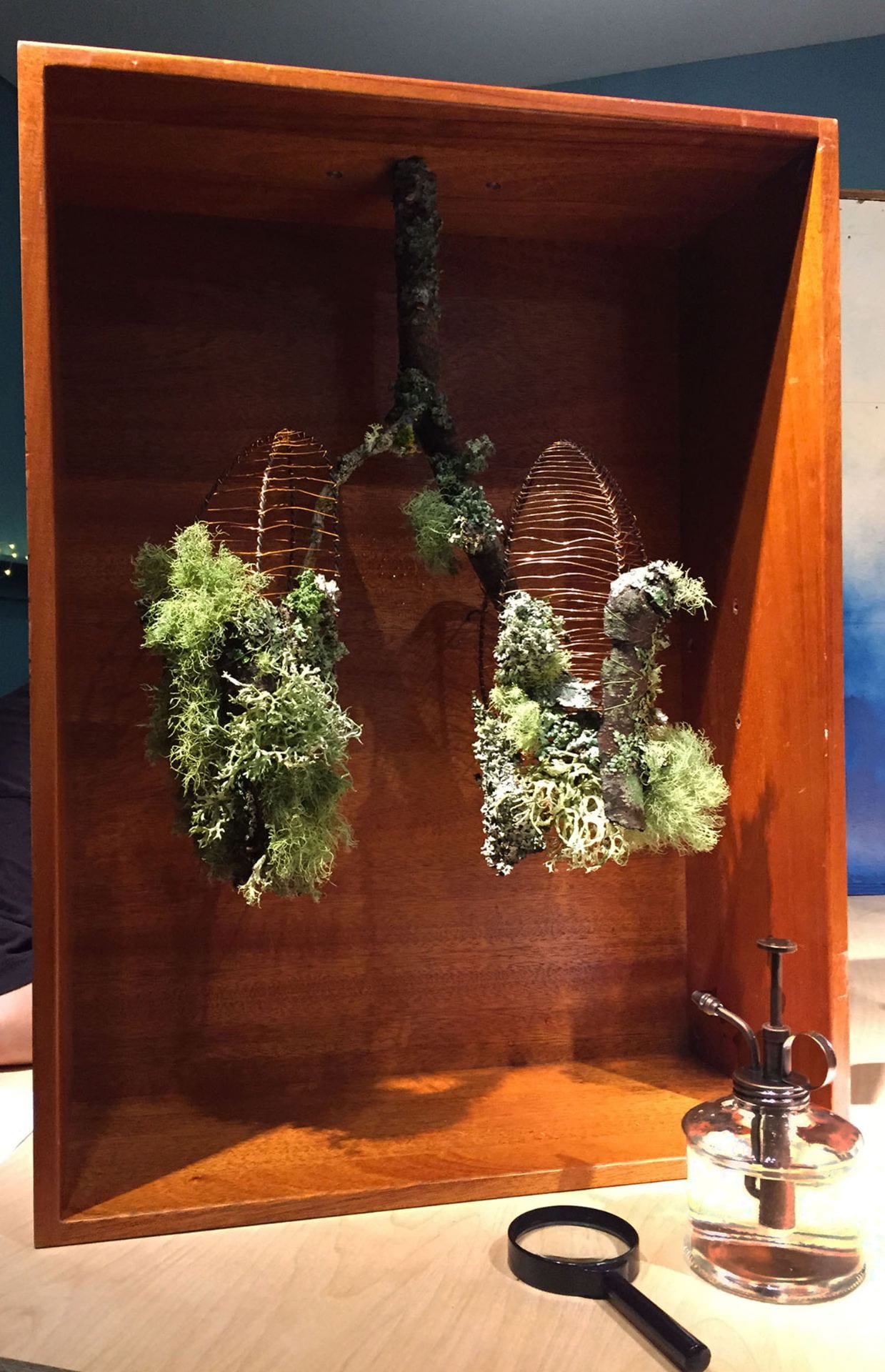 mossy, lichen covered branches and twigs crafted in the shape of lungs, mounted in a wood box