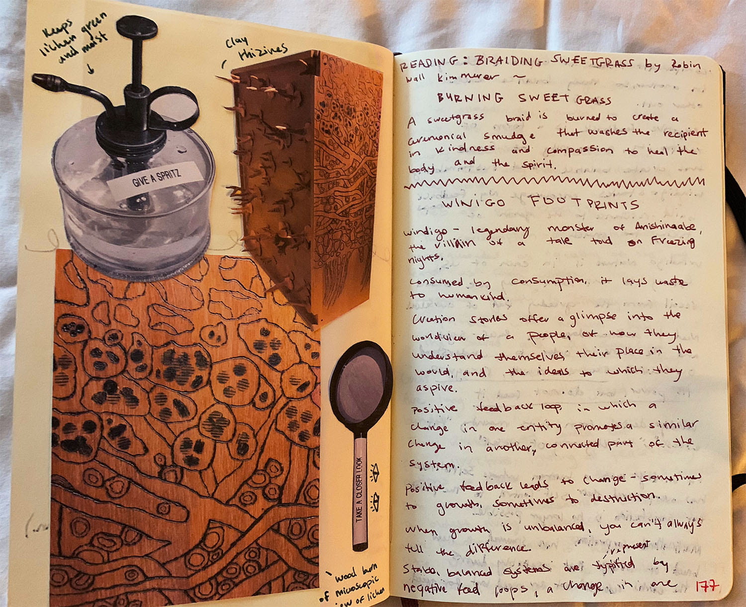 journal entry with cutout photos of a spray bottle, decorative spikey box, patterns in wood, and a spoon, next to handwritten notes titled "Reading: Braiding Sweetgrass by Robin Wall Kimmer"