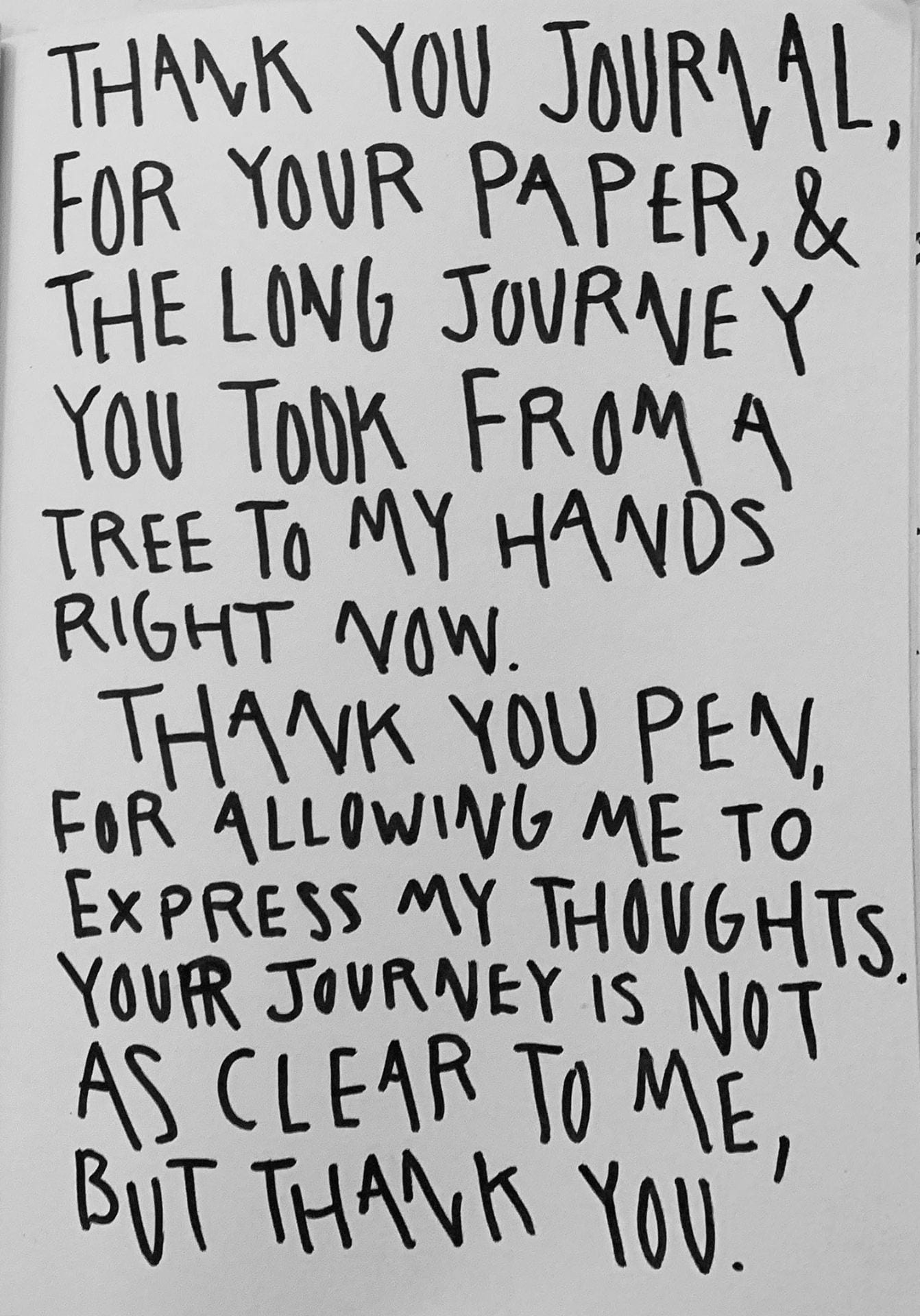 handwritten words: thank you journal, for your paper, & the long journey you took from a tree to my hands right now. Thank you pen, for allowing me to express my thoughts. Your journey is not as clear to me, but thank you.