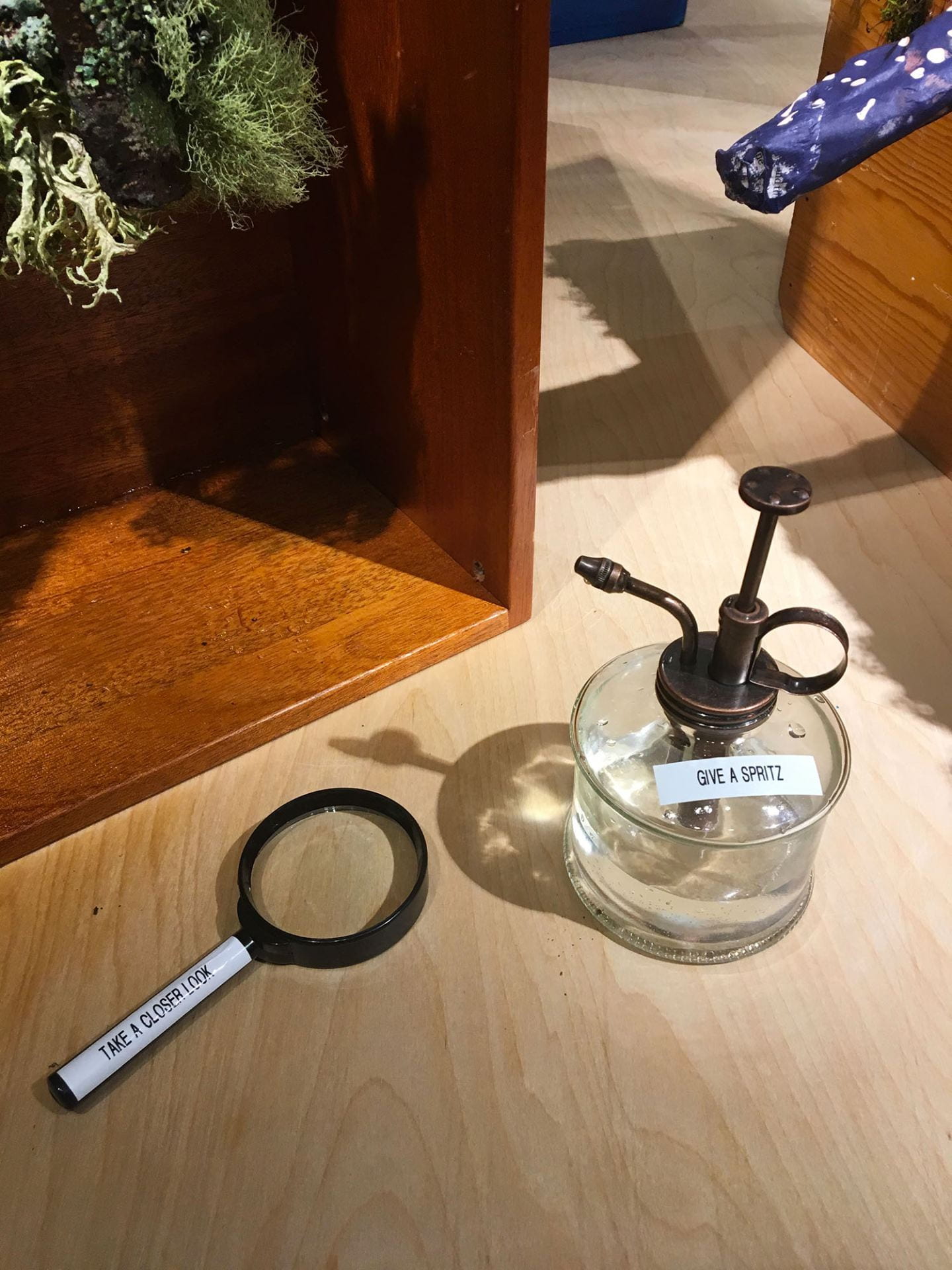 spray bottle labeled "give a spritz" and a magnifying glass labeled "Take a closer look"