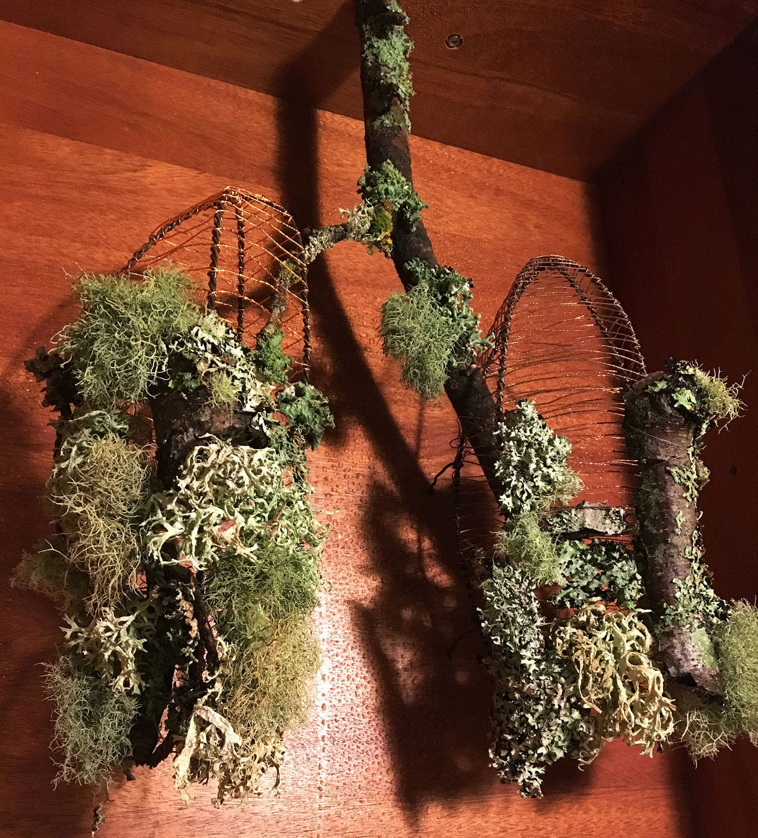 mossy, lichen covered branches and twigs crafted in the shape of lungs