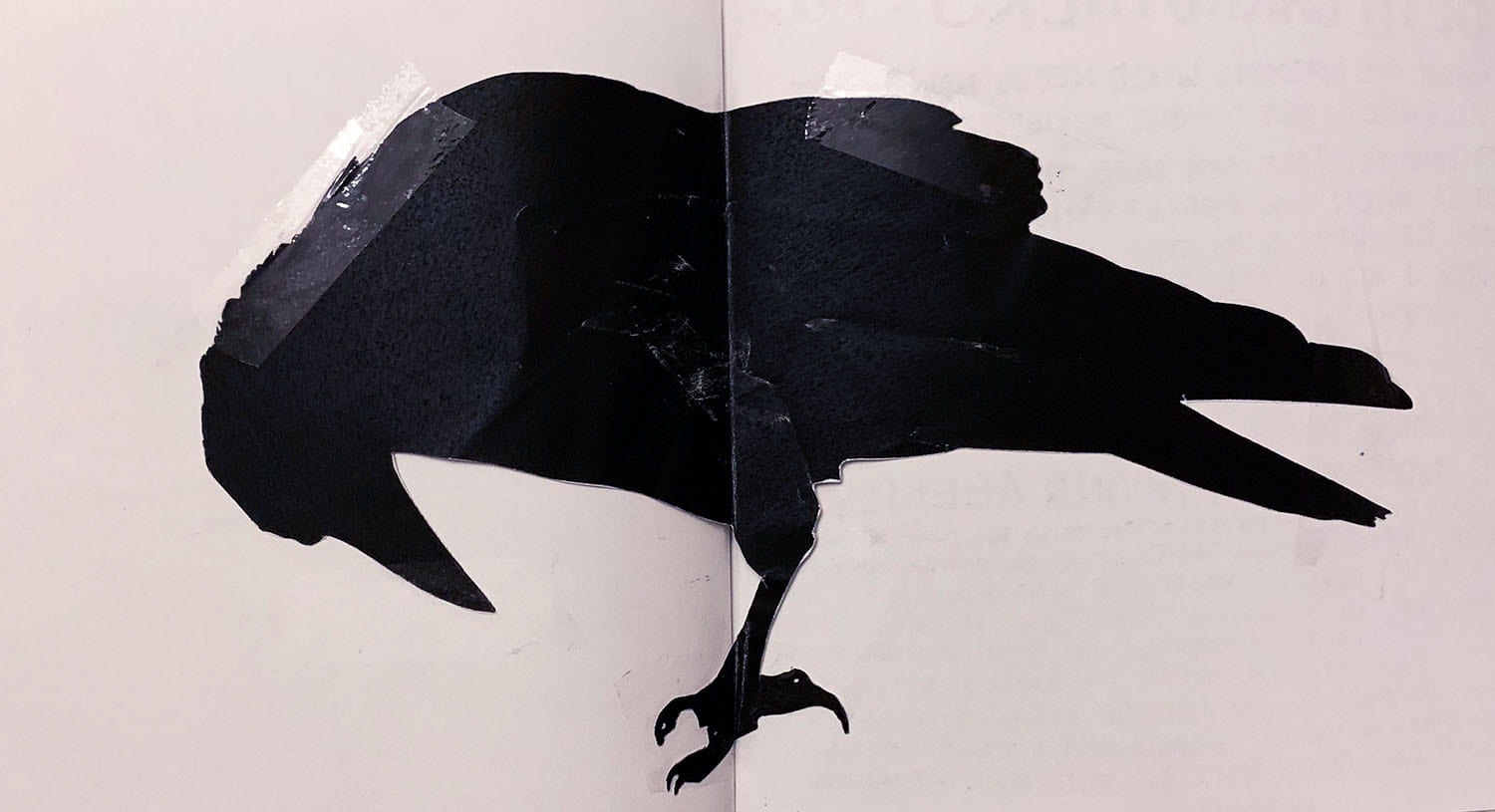 a paper cut-out in the shape of a crow, taped across two blank pages of a book