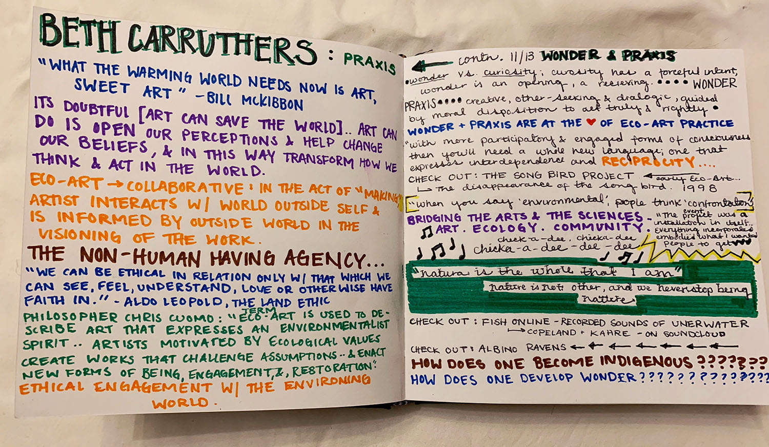 two-page journal entry titled "Beth Carruthers: Praxis" filled with notes and quotes about the environment