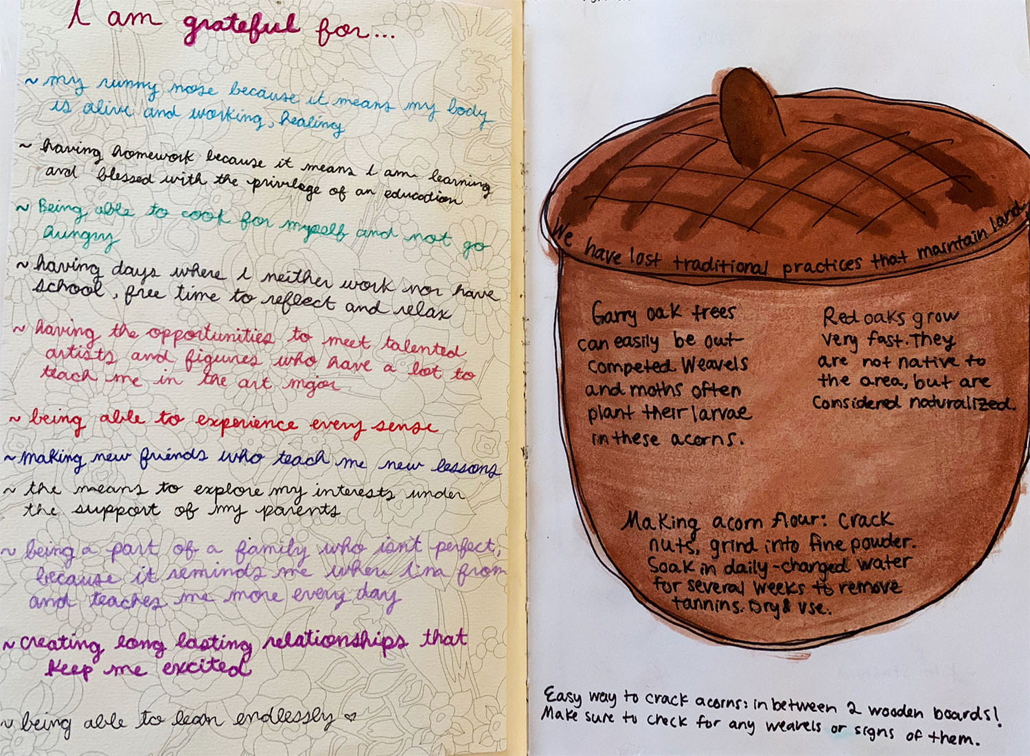 journal entry showing a colored pen drawing of an acorn with notes about how to eat them, and a list titled "I am grateful for..."