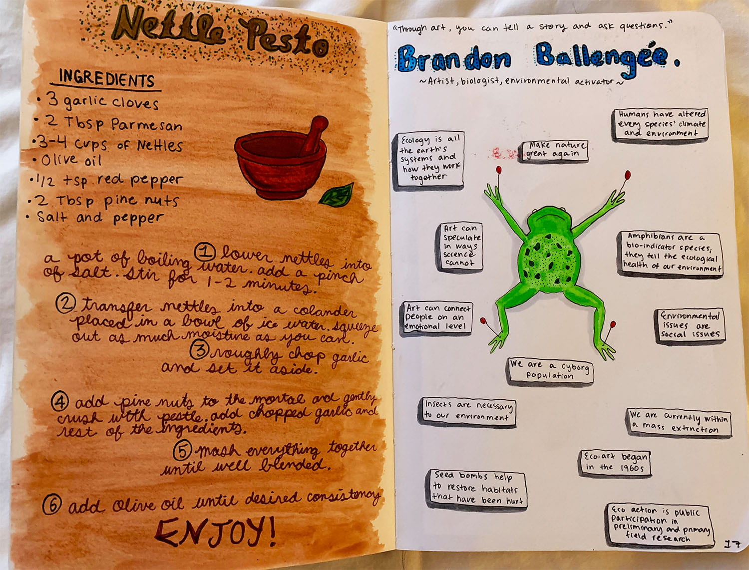 journal entry showing a recipe for nettle pesto on one page, and on another page: a drawing of a pinned up frog with random notes around it