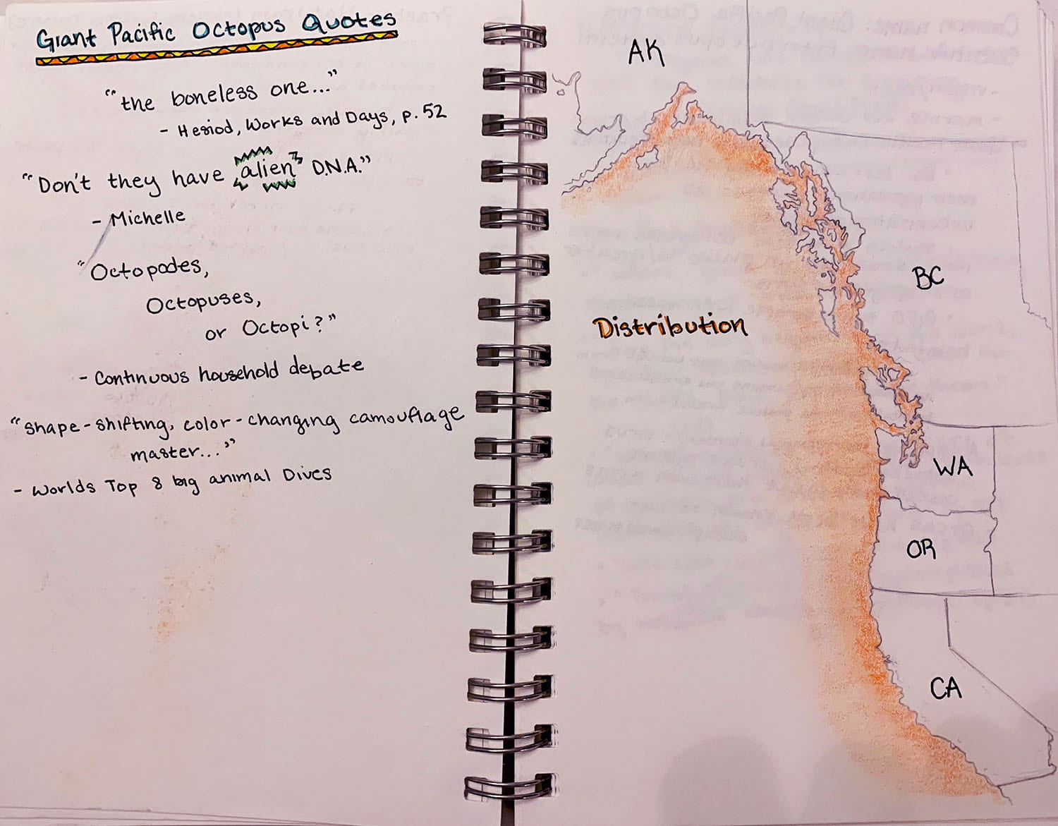 journal entry showing a hand drawn map of the west coast from Alaska to California, and a list of quotes about Giant Pacific Octopus