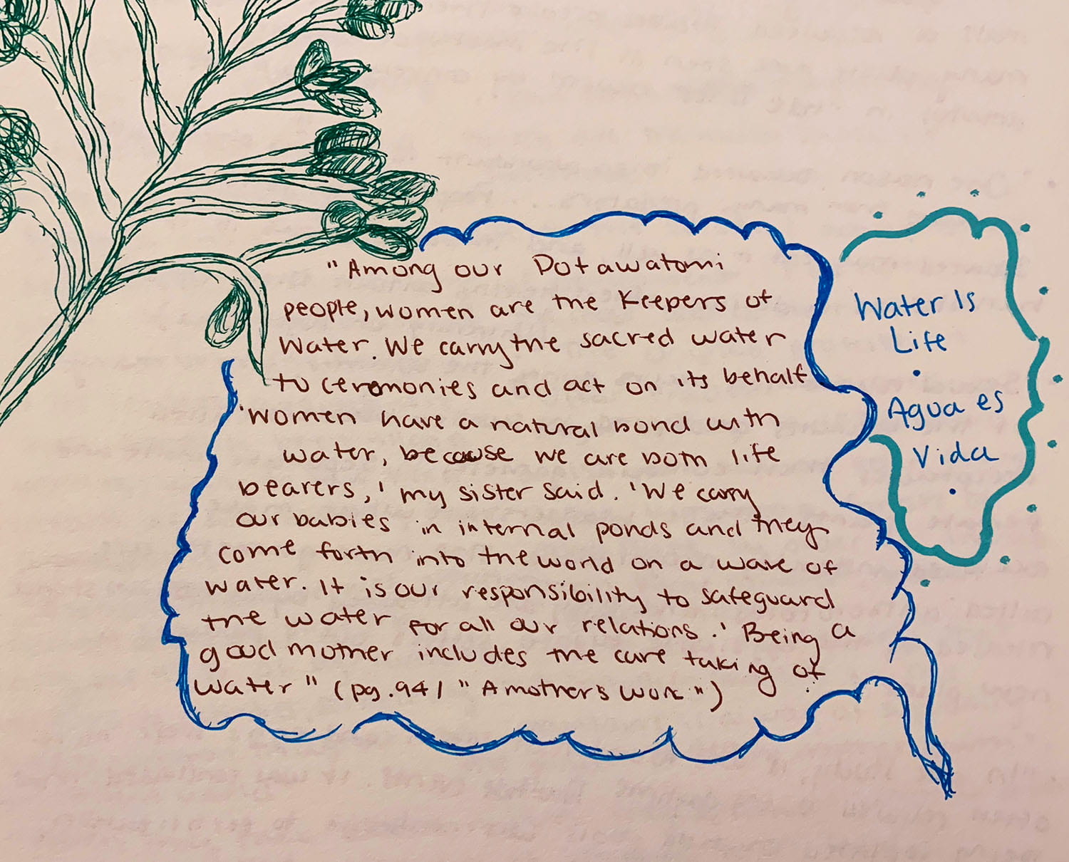 drawing of a plant next to drawn word bubbles containing handwritten notes about Dotawatoni women and their relationship with water as a life source