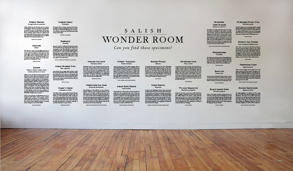 Words on a wall read Salish Wonder Room: Can you find these specimens? Descriptions of 23 specimens follow.