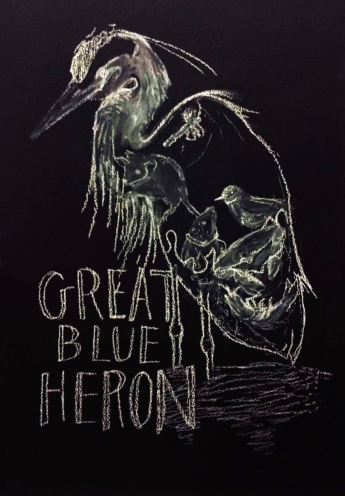labeled illustration of a great blue heron