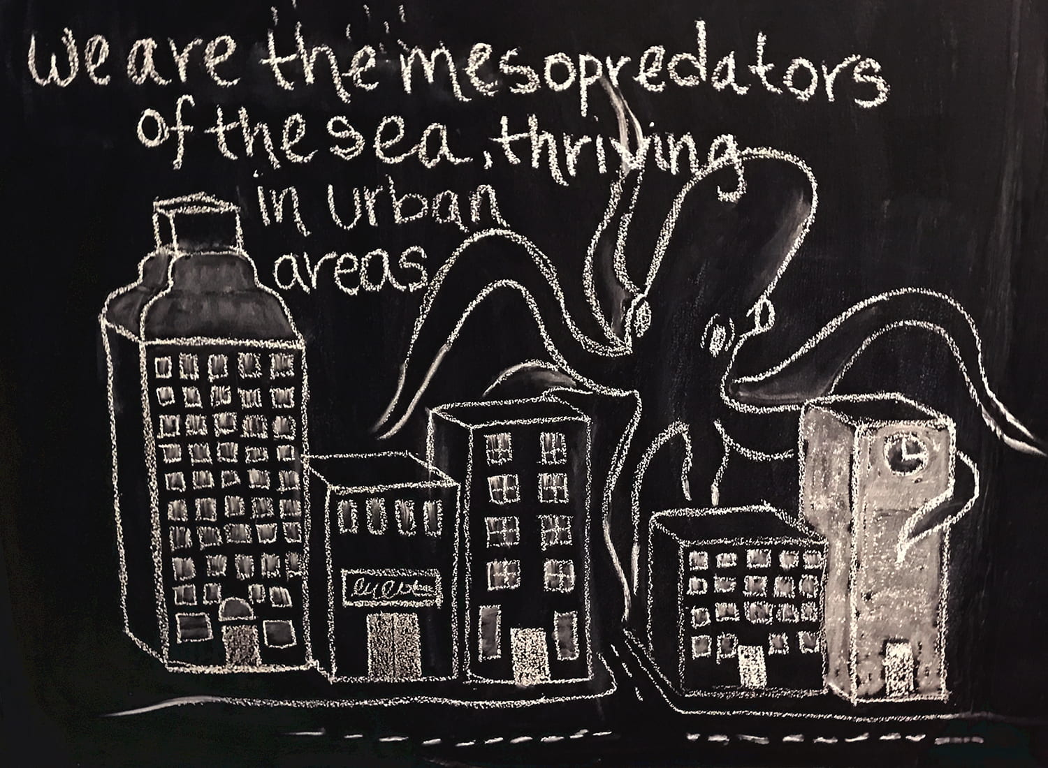 An octopus hugging city buildings, and the words "we are the mesopredators of the sea, thriving in urban areas"