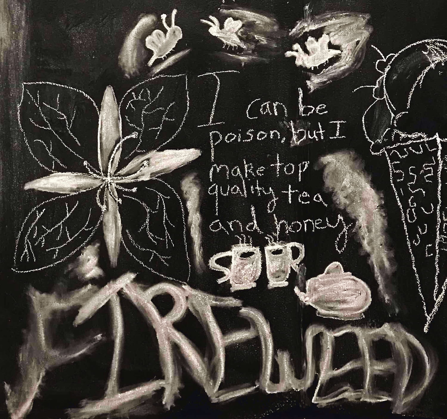 winged bugs, flowers, teacups and teapot, and the words "I can be poison, but I make top quality tea and honey: Fireweed"