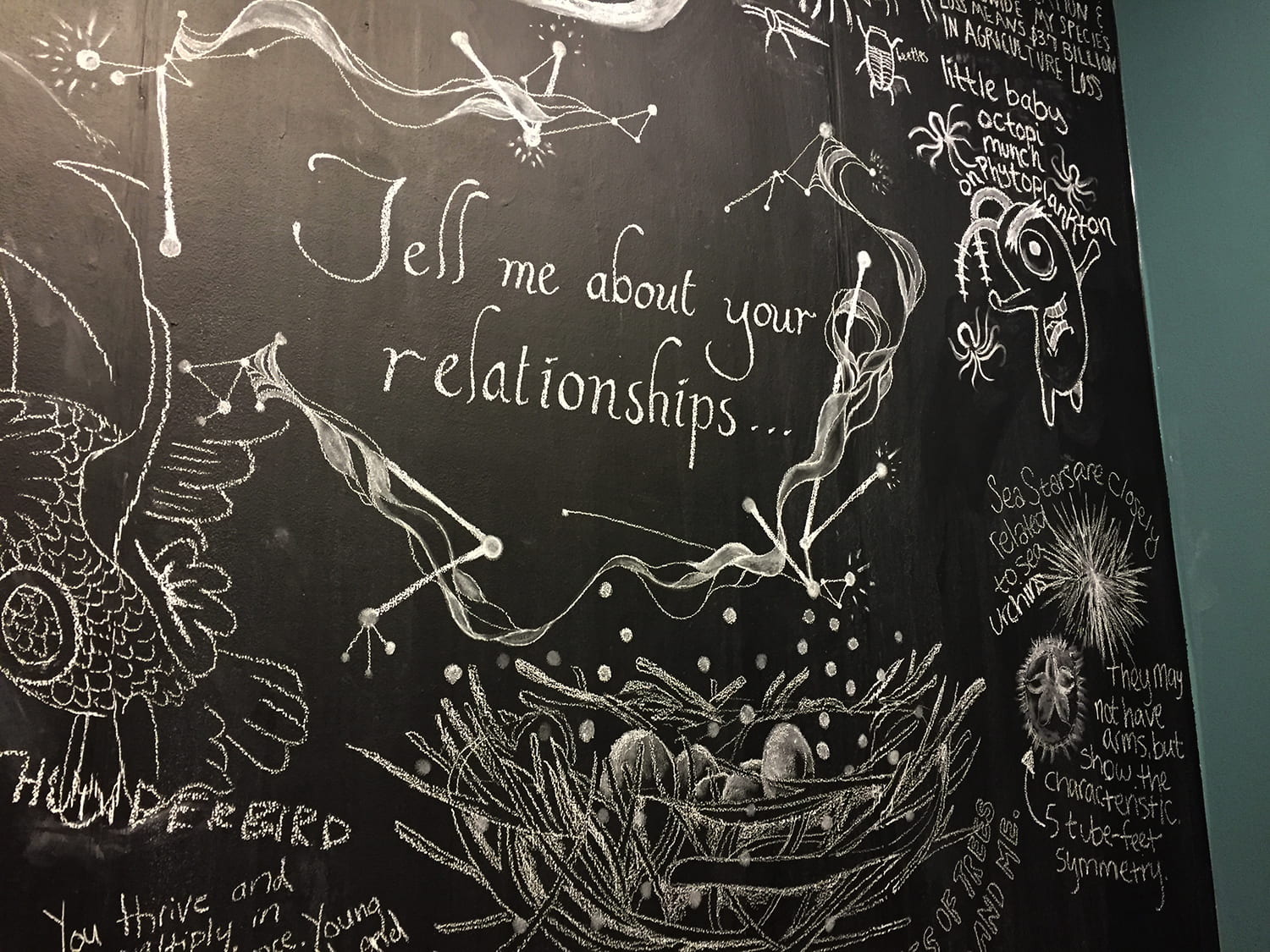 The words "Tell me about your relationships..." surrounded by labeled drawings on a chalkboard