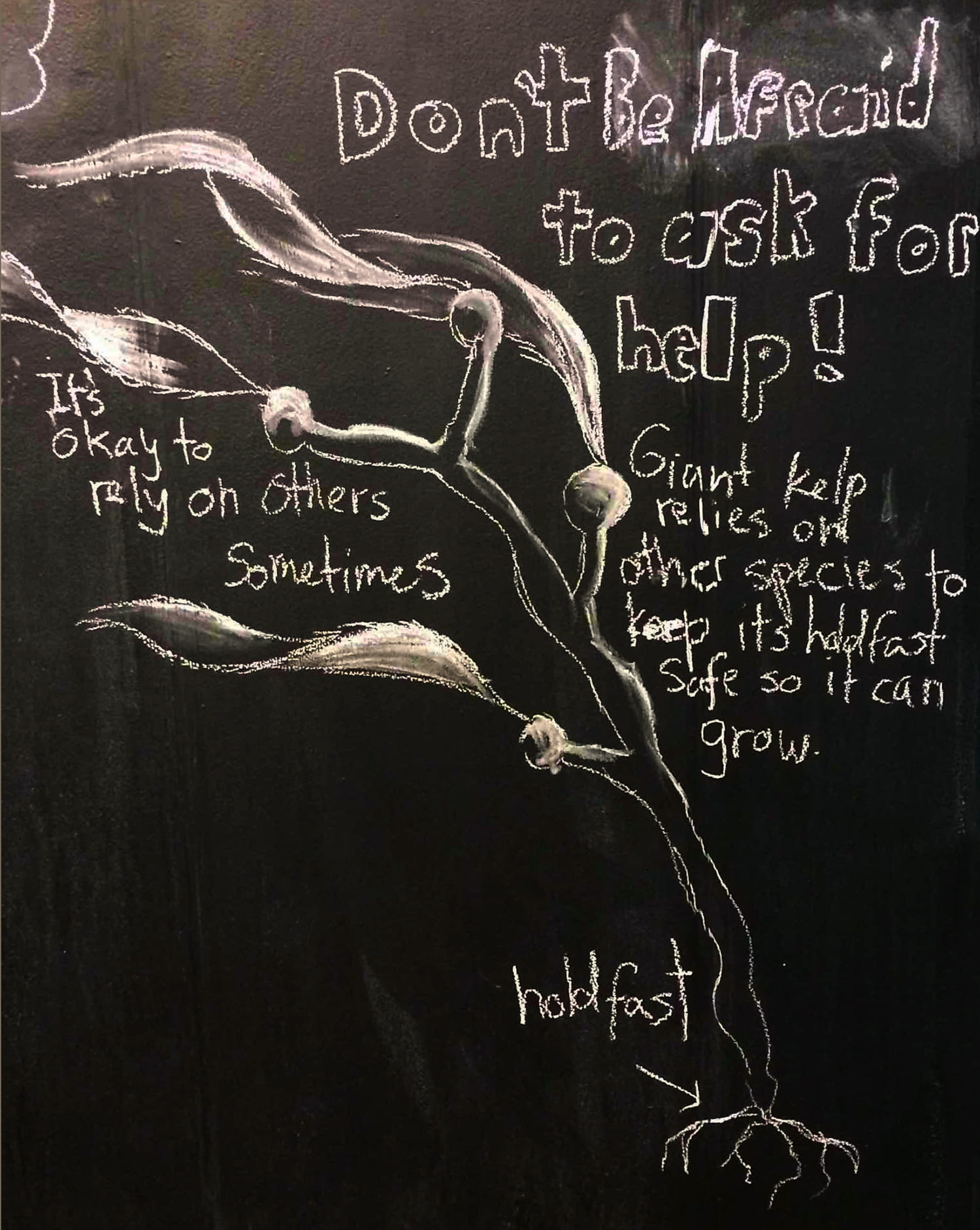 drawing of kelp, it's roots labeled "holdfast", and the words "Don't be afraid to ask for help! Giant kept relies on other species to keep its holdfast safe so it can grow. It's okay to rely on others sometimes"