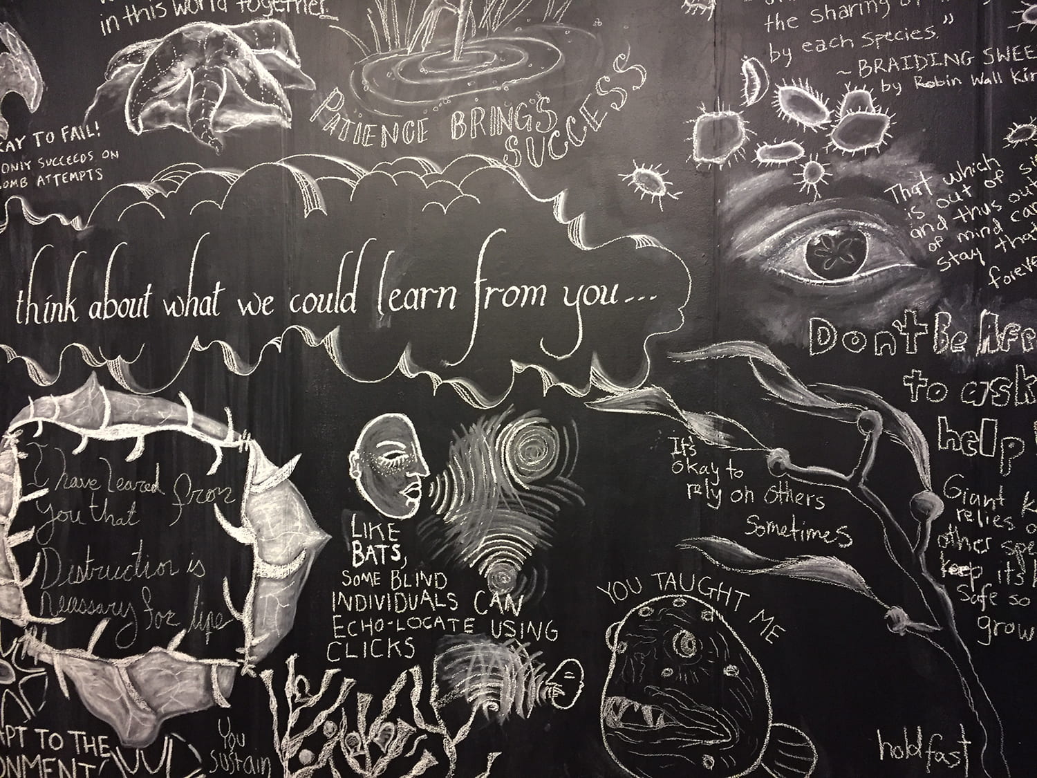 Several labeled drawings surround the words "think about what we could learn from you..."
