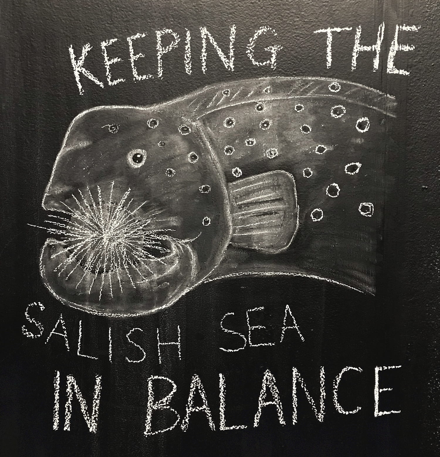 drawing of an eel's head surrounded by the words "Keeping the Salish Sea in balance"