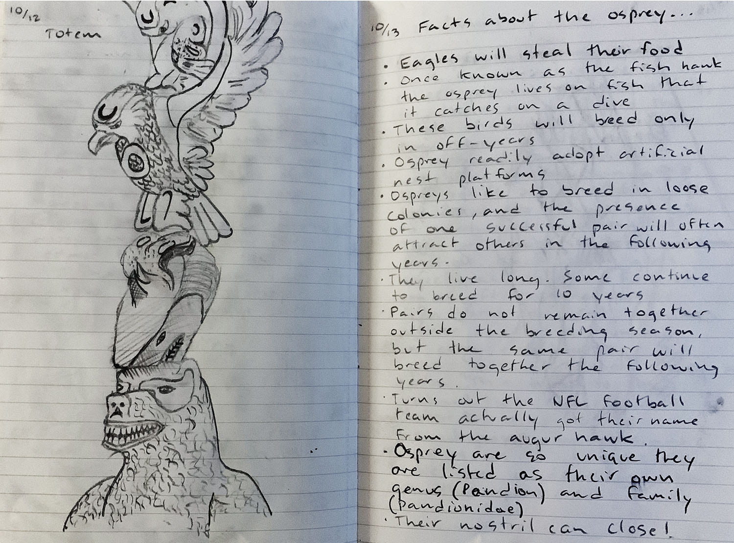 drawing on notepaper of a totem pole depicting an eagle on top of an osprey on top of a snake on top of a shark on top of a bear. Another page containing brief notes about each animal