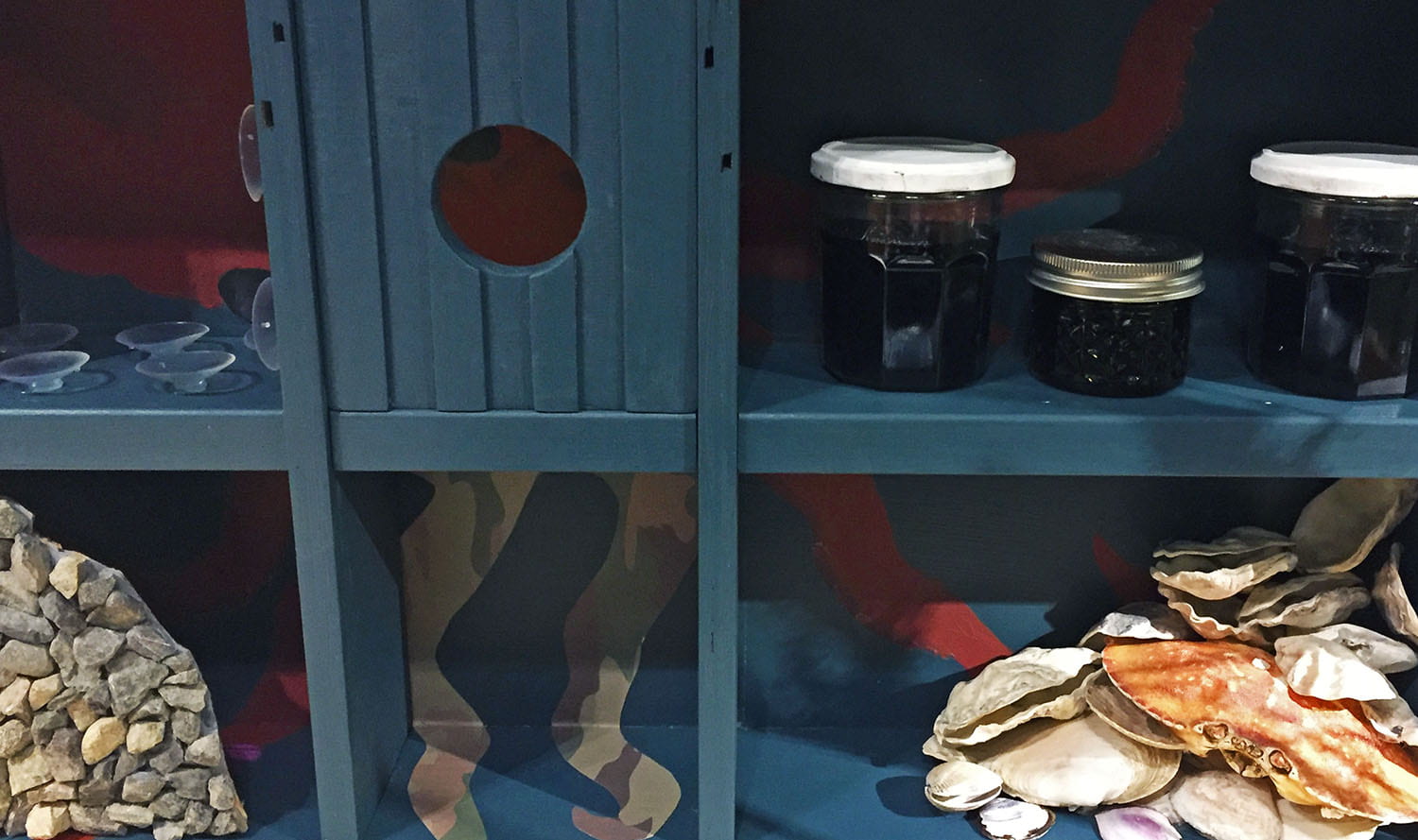 shelf cubbies containing: plastic sticky feet, jars filled with black liquid, a bag of rocks, and oyster, clam and crab shells