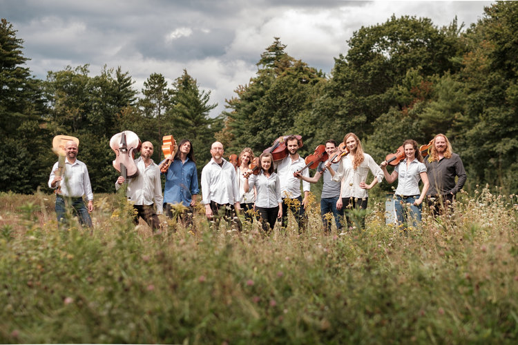 11 people standing in a field next to a forest, holding cellos, violins and similar instruments