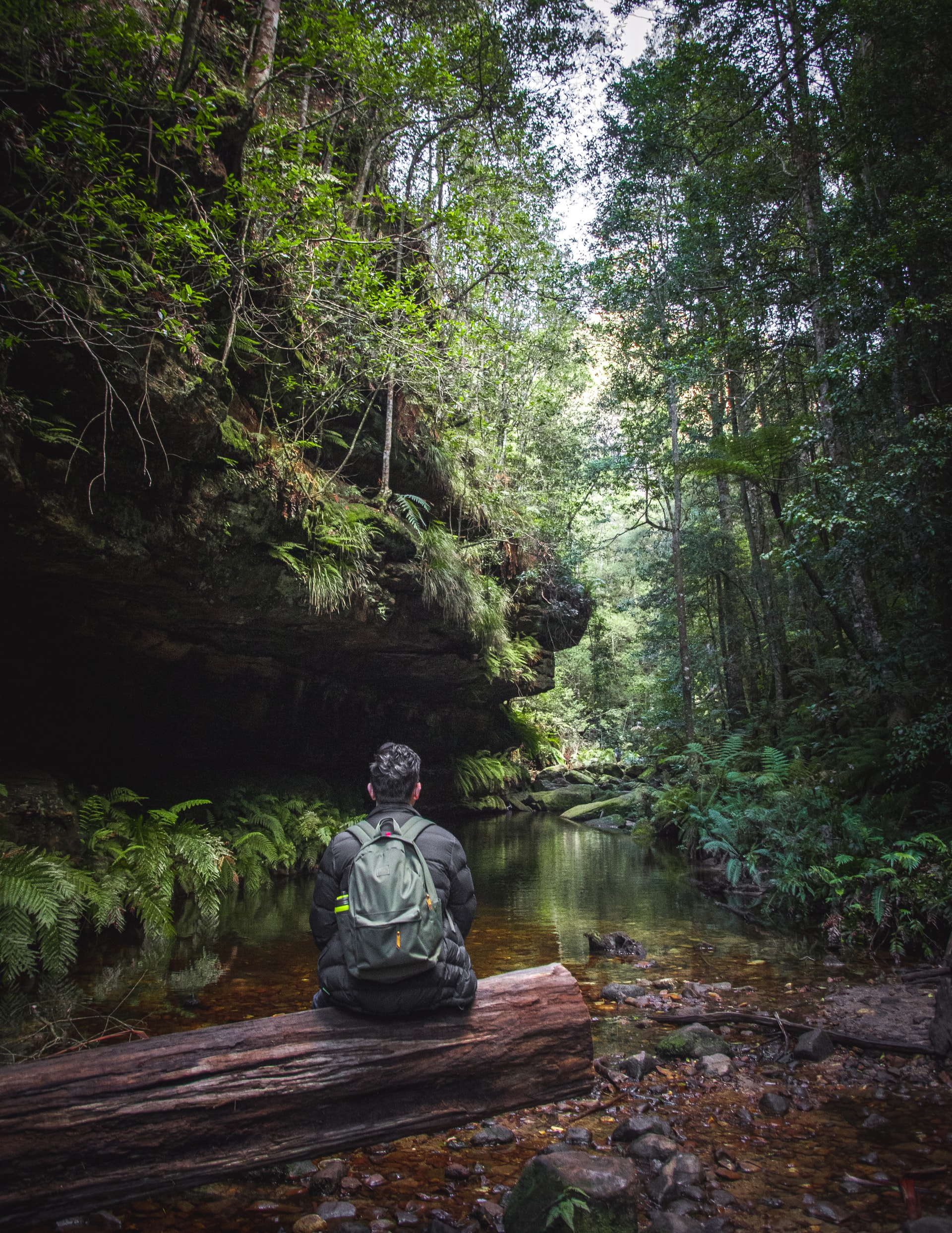 A person wearing a backpack sits on a log over a lushly forested river, looking up the river