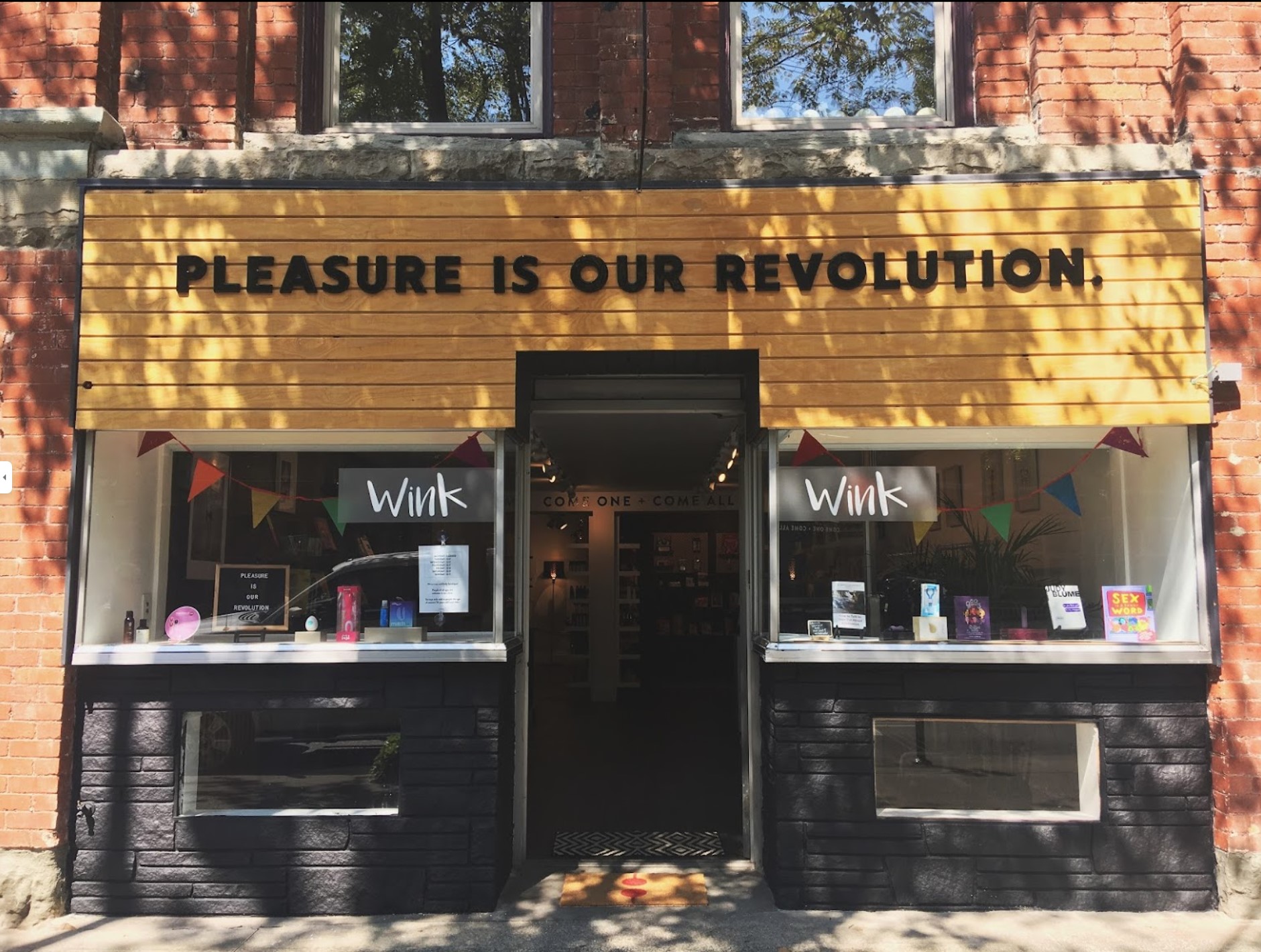 Storefront with the sign "Pleasure is our revolution" above the door and the word "wink" in windows on either side of the door.