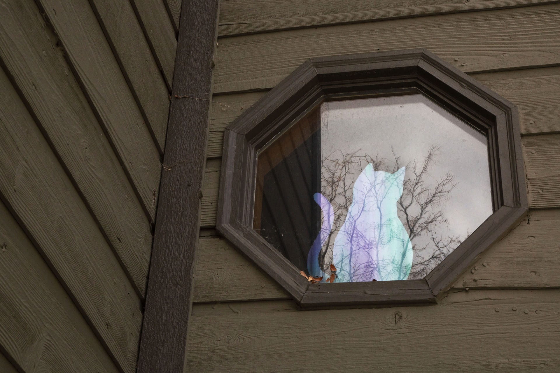A negative image of a cat fills an octagonal window, seen from the exterior of a house