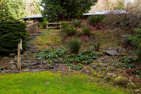 a rocky path leads to a small lawn in a garden