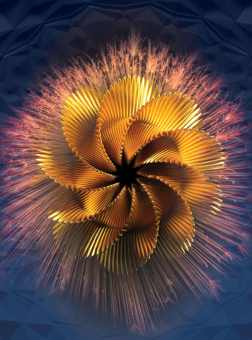 A stunningly lit metallic, flower-like iris floats in front of a firework burst on a deep blue geometrically textured background