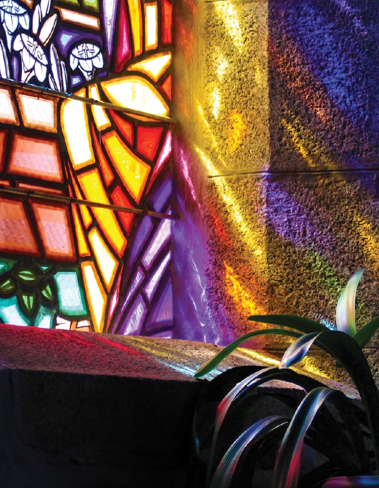 A stained glass window casts warm, colorful light onto a plant in a dark room
