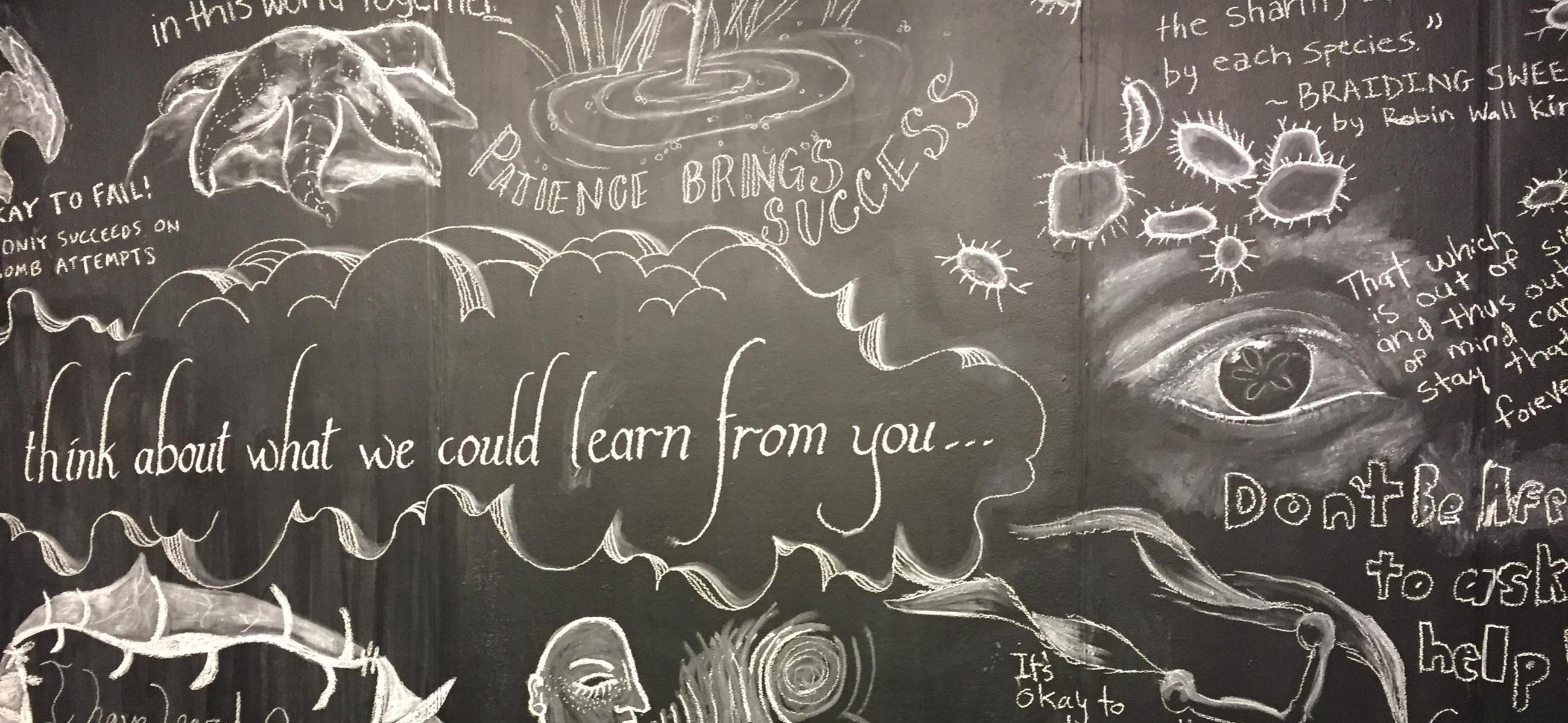 blackboard covered in chalk drawings and words of a generally ecological nature