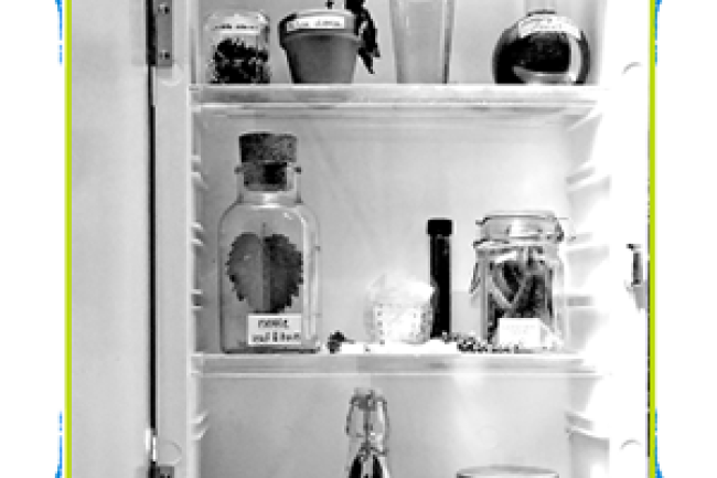 jars and bottles on shelves containing various plant matter