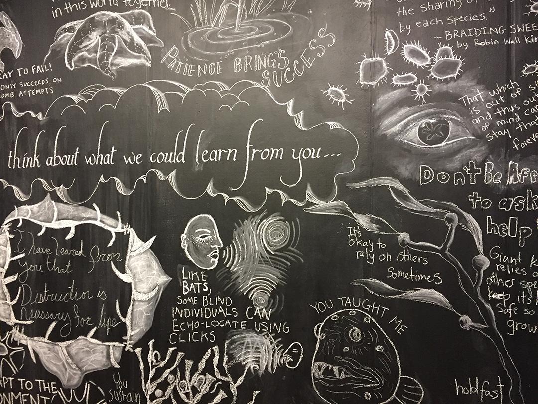 a chalkboard filled with drawings and notes