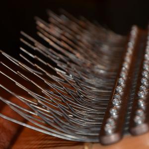 curved metal tines projecting from a wooden sounding board on a mbira