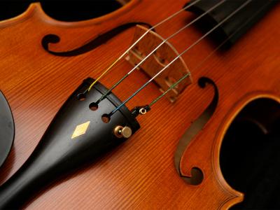 closeup of the strings and bridge of a viol
