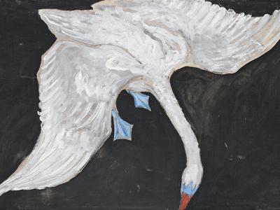 painting of a swan, viewed from above, with wings spread out