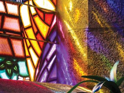 A stained glass window casts warm, colorful light onto a plant in a dark room
