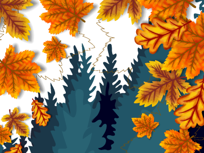 illustrated autumn oak leaves falling over evergreen trees