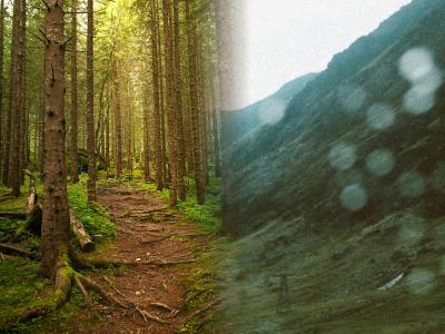 left to right: photo of a trail through the woods, fading into a photo of a mountain side in the rain