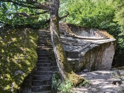 winding stone stairs surrounded by lush trees and bushes