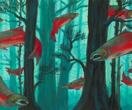 Miranda Ward’s illustration of coho salmon