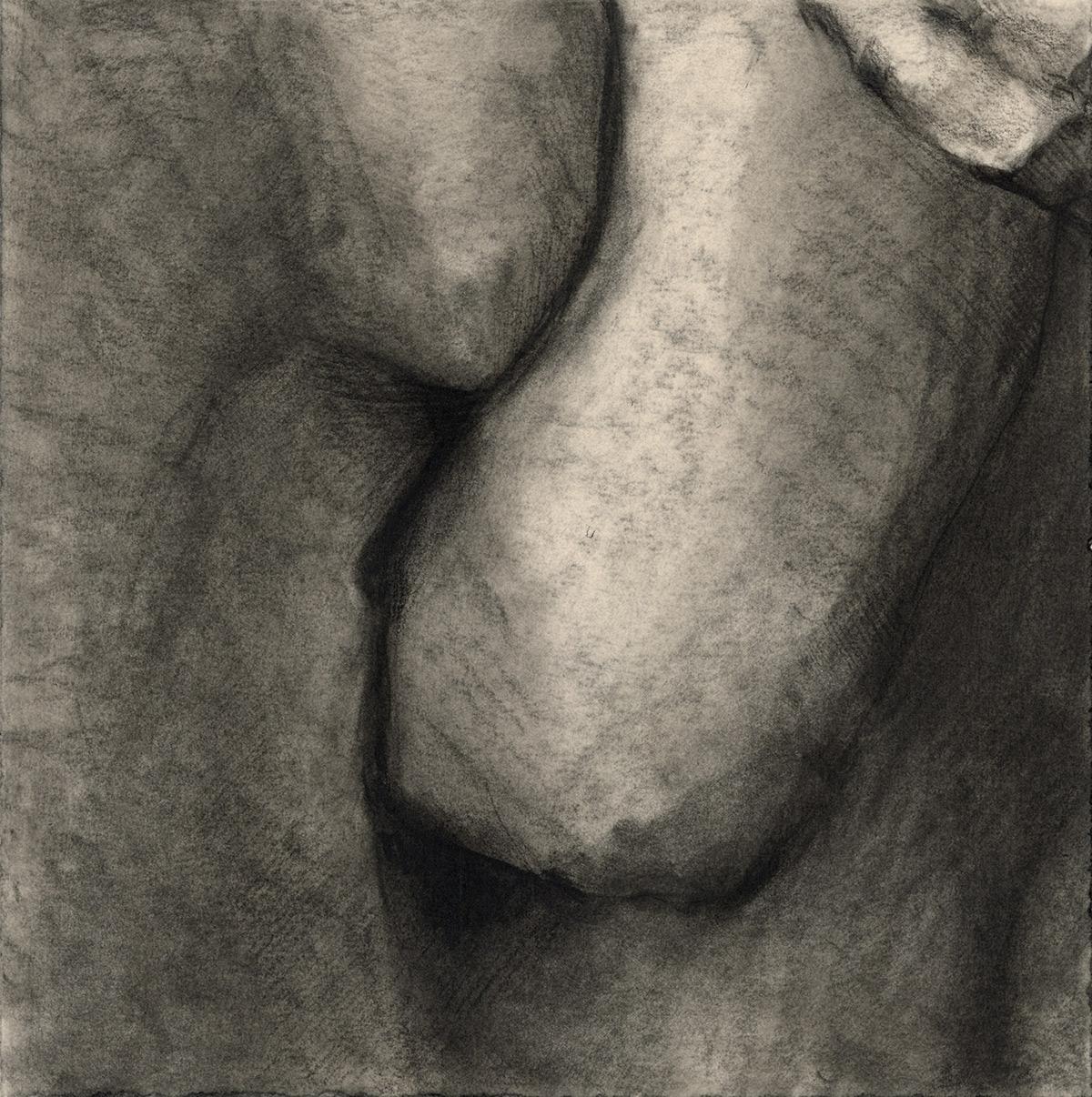 charcoal drawing suggesting a fraction of a body part