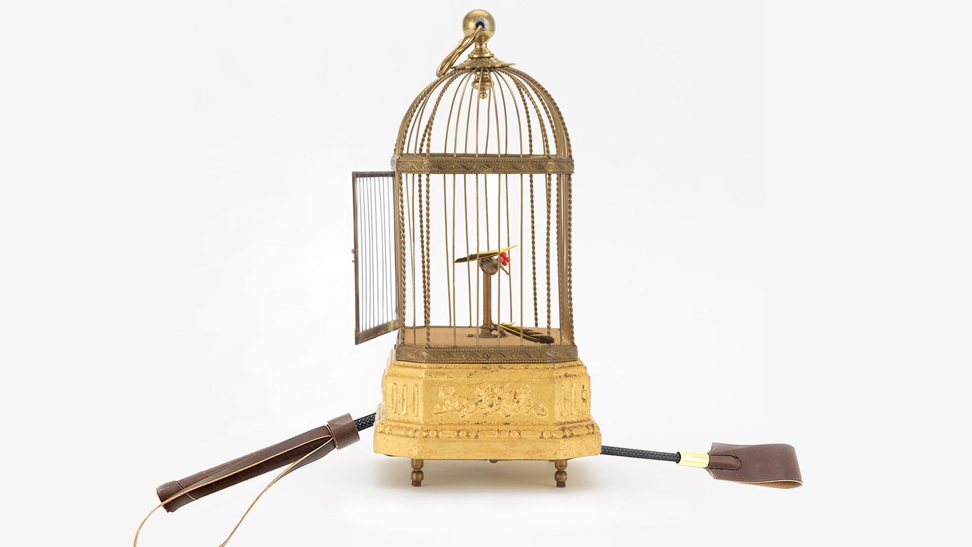 An open bird cage containing two feathers, and a broken riding crop laying next to it