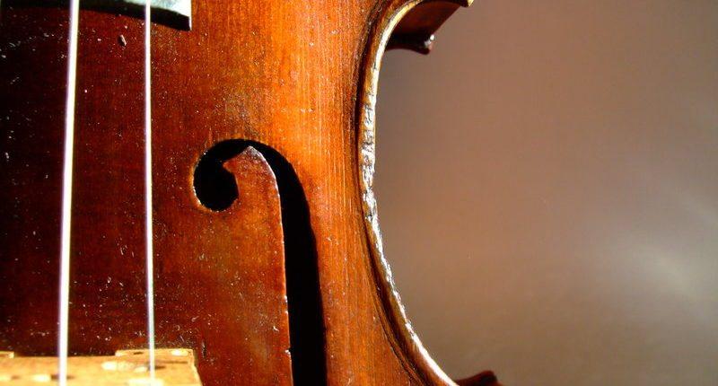 detail of a stringed instrument