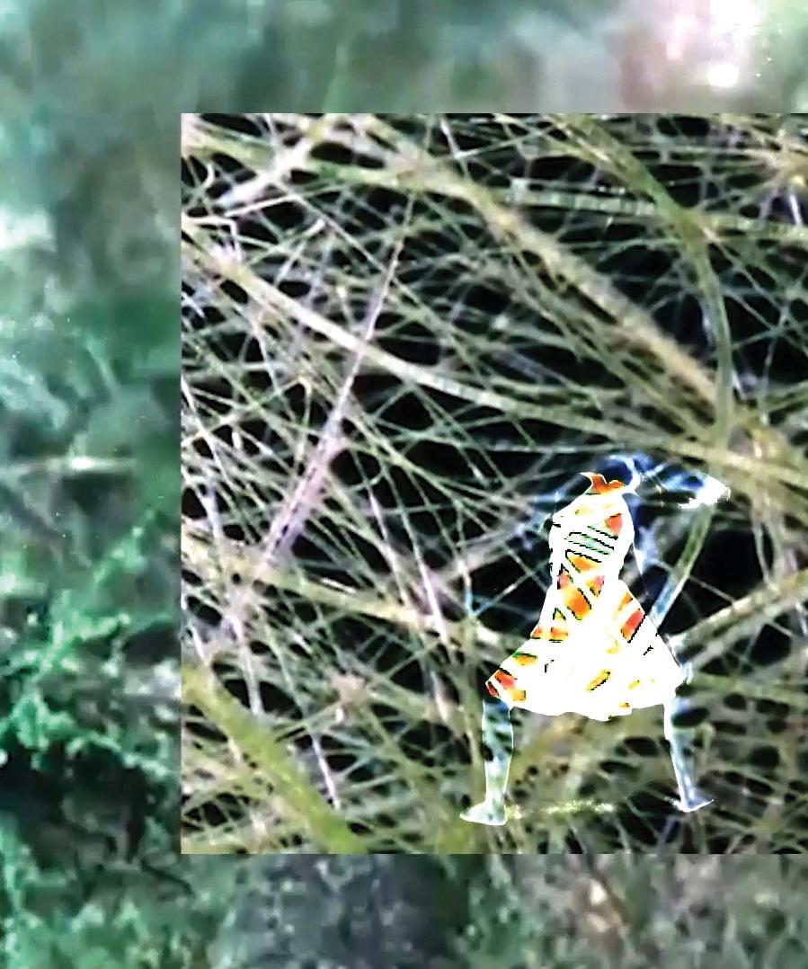 humanoid in smock with maybe the head of bird crouches among enlarged fibers or grass